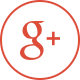 Google Plus Oficial de GM Netcom Argentina
